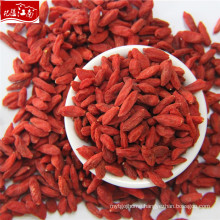 Wholesale red Ningxia goji berry
